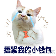 神器营 篇七：这9个国家官方出品的宝藏网站，实在是太好用了！